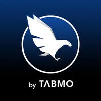 TabMo développe un format exclusif in-feed audio qui est le AdSound